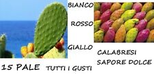 Pale pianta fico usato  Italia
