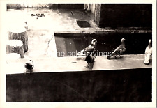 Asian found photo for sale  Red Boiling Springs