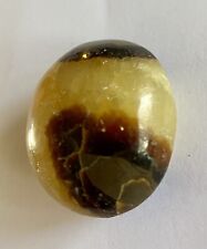 Rare ancient septarian for sale  Hesperia