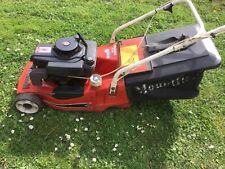 Mountfield empress self for sale  MANNINGTREE