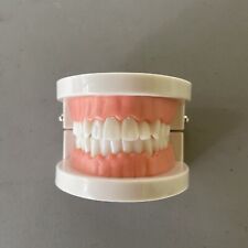 Dental standard teeth for sale  Baton Rouge