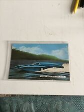 Old postcard bluebird for sale  FARNHAM