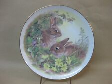 Rabbit china display for sale  LLANELLI