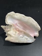 Conch shell horn for sale  Troy