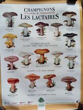 Affiche scolaire champignons d'occasion  Herbault