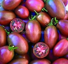 Ukrainian purple tomato for sale  DEWSBURY