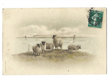 Sheep illustration fancy d'occasion  Expédié en Belgium