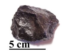 Famous iron meteorite for sale  Colorado Springs