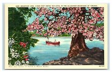 Postcard mountain lake for sale  Saco