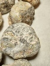 Geodes 2.50 diameter for sale  Kenosha