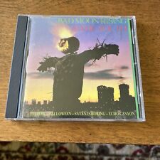 Sonic Youth Bad Moon Rising CD BFFP 1CD Blast First 1985 Thurston Moore, usado comprar usado  Enviando para Brazil