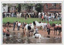 Appleby horse fair for sale  ANDOVER
