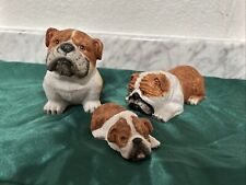 Bulldog puppies retired for sale  Hollywood