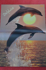 Poster delphin delfin gebraucht kaufen  Allersberg