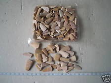 dente squalo fossile marocco usato  Domodossola