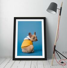 French bulldog canvas for sale  LONDONDERRY