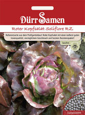 Roter kopfsalat soliflore gebraucht kaufen  Pulheim