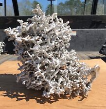 Escultura de fundição de arte de formigueiro formiga de fogo fundição de alumínio Geórgia do Sul 13” X 14” comprar usado  Enviando para Brazil