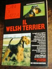 Welsh terrier audisio usato  Savignano Sul Rubicone