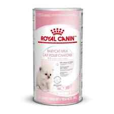 Royal canin gatto usato  Terni
