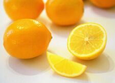 Meyer lemon fresh for sale  Jacksonville