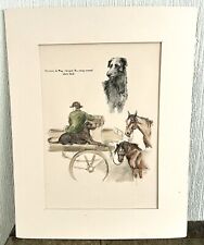1935 wolfhoud deerhound for sale  GAINSBOROUGH