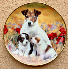 Dog plate puppies for sale  YEOVIL