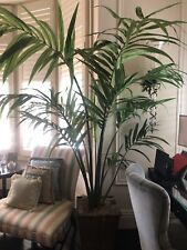 Palm tree artificial for sale  Delray Beach