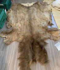 Elk pelt for sale  Spring