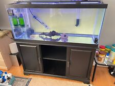 Gallon fish tank for sale  Chantilly