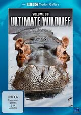 Dvd ultimate wildlife gebraucht kaufen  Willich