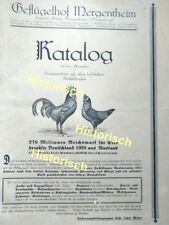 Katalog 20er jahre gebraucht kaufen  Schwabach