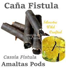 Cáña Fístula CANA FÍSTULA 1 oz Ducha Dorada AMALTAS Cassia cápsulas de fístula  segunda mano  Embacar hacia Argentina