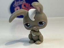 Bunny rabbit littlest for sale  Alexandria