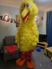 Big bird sesame for sale  LUTON