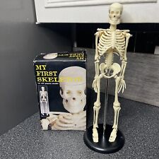 First skeleton 16.5 for sale  Paducah