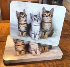 Cat kitten set for sale  LYMINGTON