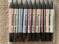 Promarker alcohol pens for sale  RHYL