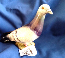 Pigeon beautiful beswic for sale  HUNTINGDON