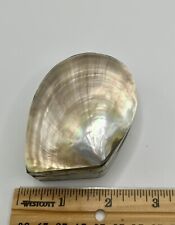Mother pearl abalone for sale  Williamsport