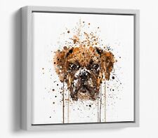 Boxer dog splash for sale  LONDONDERRY
