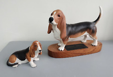Two basset hounds for sale  MARLBOROUGH