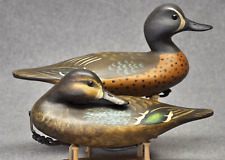 Blue winged teal for sale  Monroe