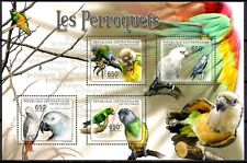 Centrafrica 2011 pappagalli usato  Trambileno