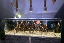 Eclairage led aquarium d'occasion  Sorède