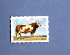 Zambia mnh simmental for sale  Fort Smith