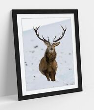 Majestic stag snowy for sale  Shipping to Ireland