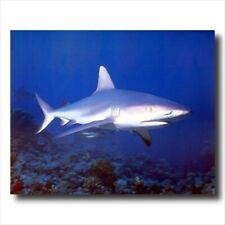Ocean shark wild for sale  Springdale