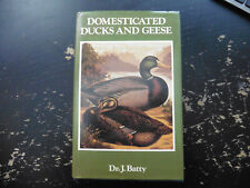 1979 domesticated ducks for sale  MANNINGTREE