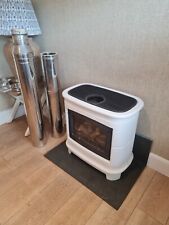 Lpg gas fire for sale  PWLLHELI